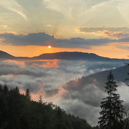فيلا Landeckhof Oberwolfach المظهر الخارجي الصورة